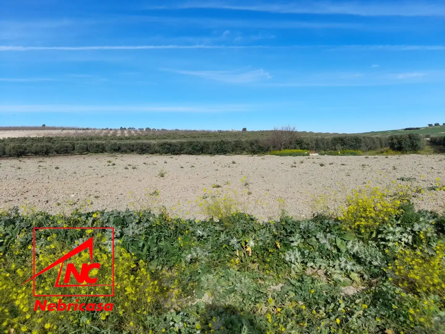Terreni e lotti in vendita a Lebrija, imagen 4