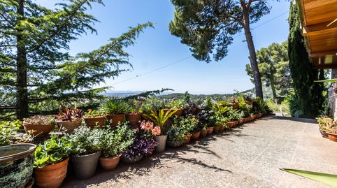 Photo 4 of Houses for sale in Matadepera - Llevant, Matadepera, Barcelona