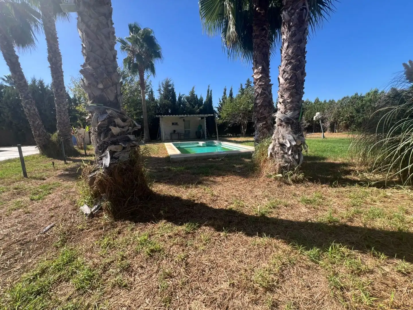 Piscina de Casa o chalet en venta en Pedanías Sur 