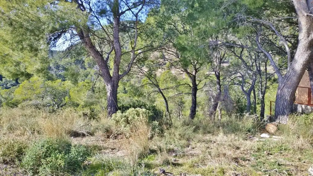 Wohnbaugrundstück zum Verkauf in Serra, imagen 7