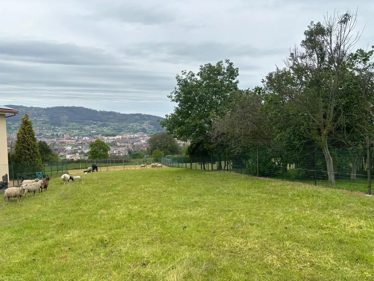 Residential land for sale in Parroquias Sur - La Manjoya, imagen 15