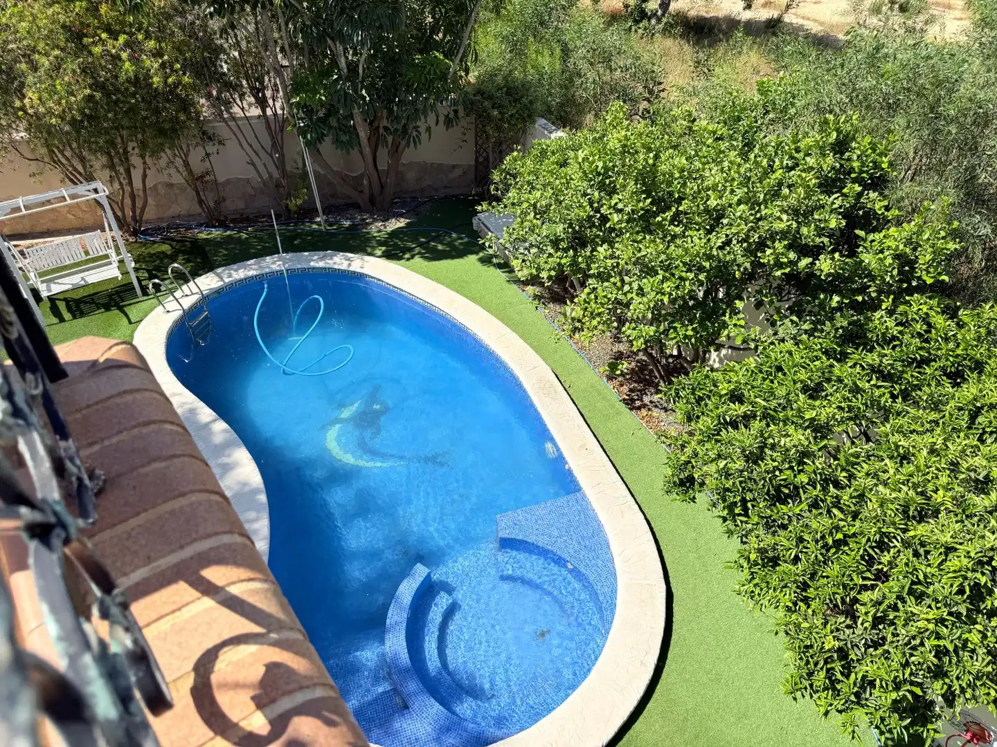 Piscina de Casa o chalet en venta en Rojales con Aire acondicionado, Calefacción y Jardín privado