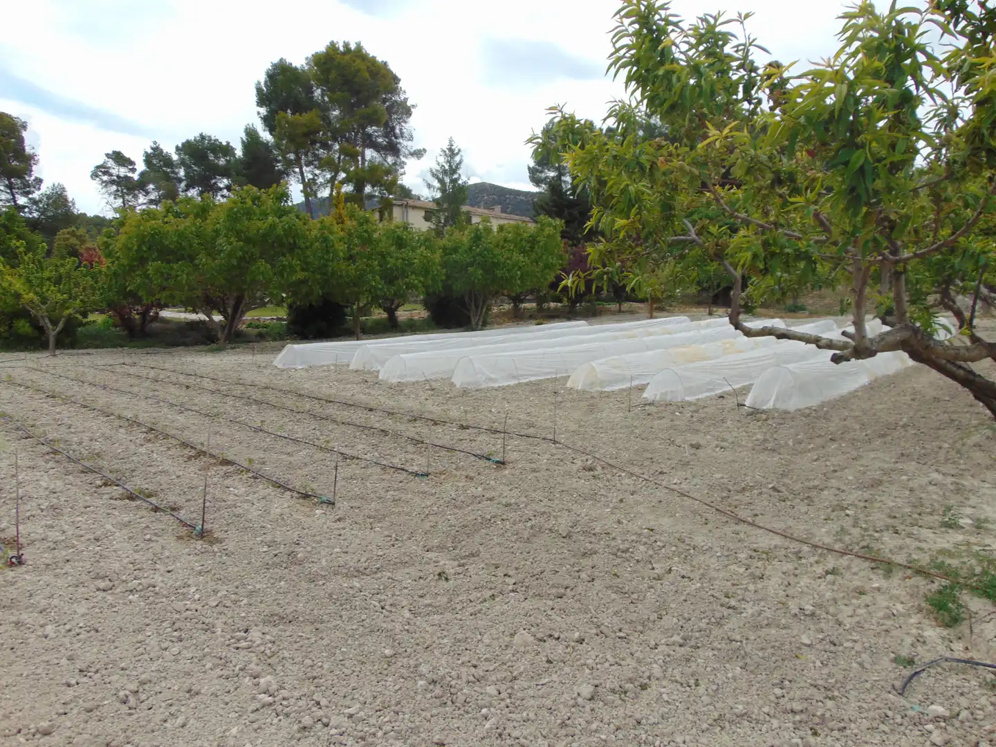 Casa rustica con piscina in vendita a Partida Polop Baix, imagen 116