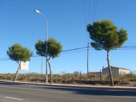 Exterior view of Industrial land for sale in Huércal-Overa