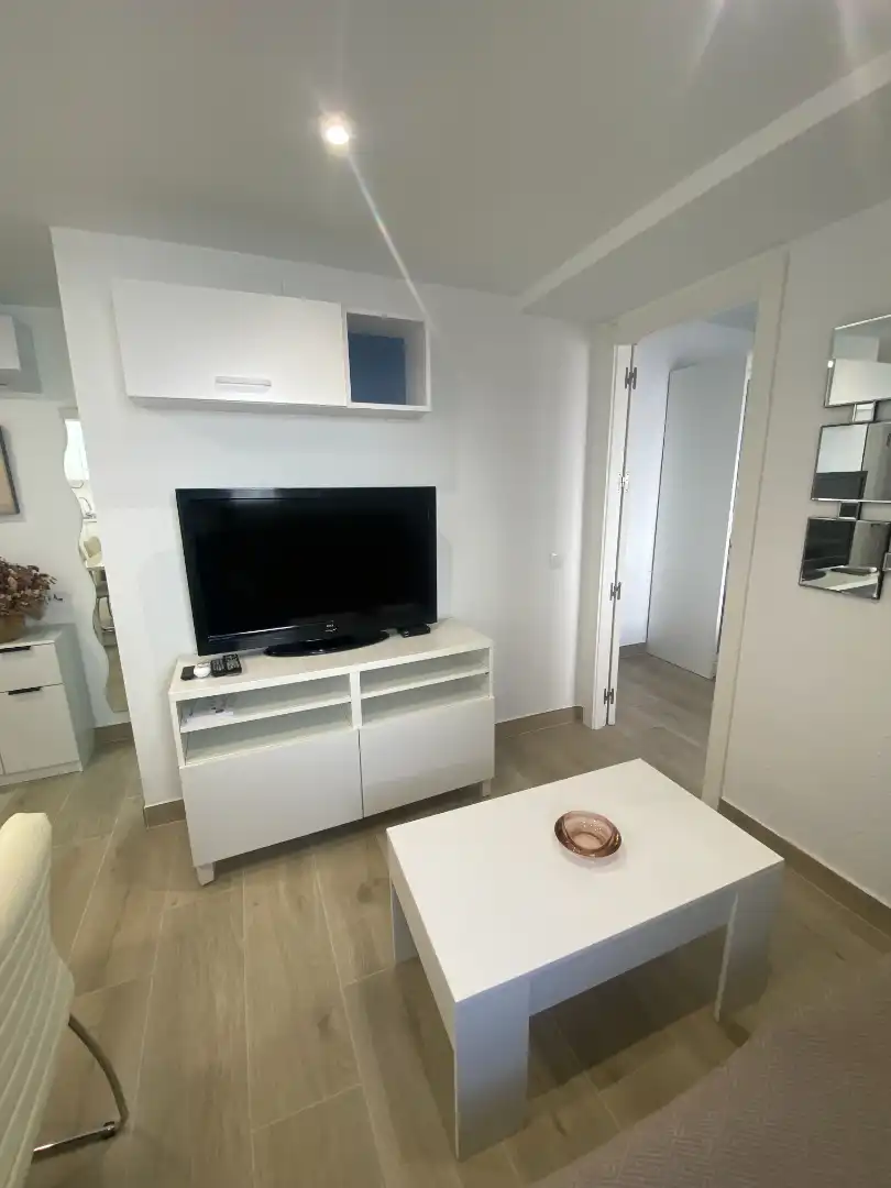 Wohnzimmer von Wohnungen zur Miete in Málaga mit Klimaanlage, Möbliert und Waschmaschine