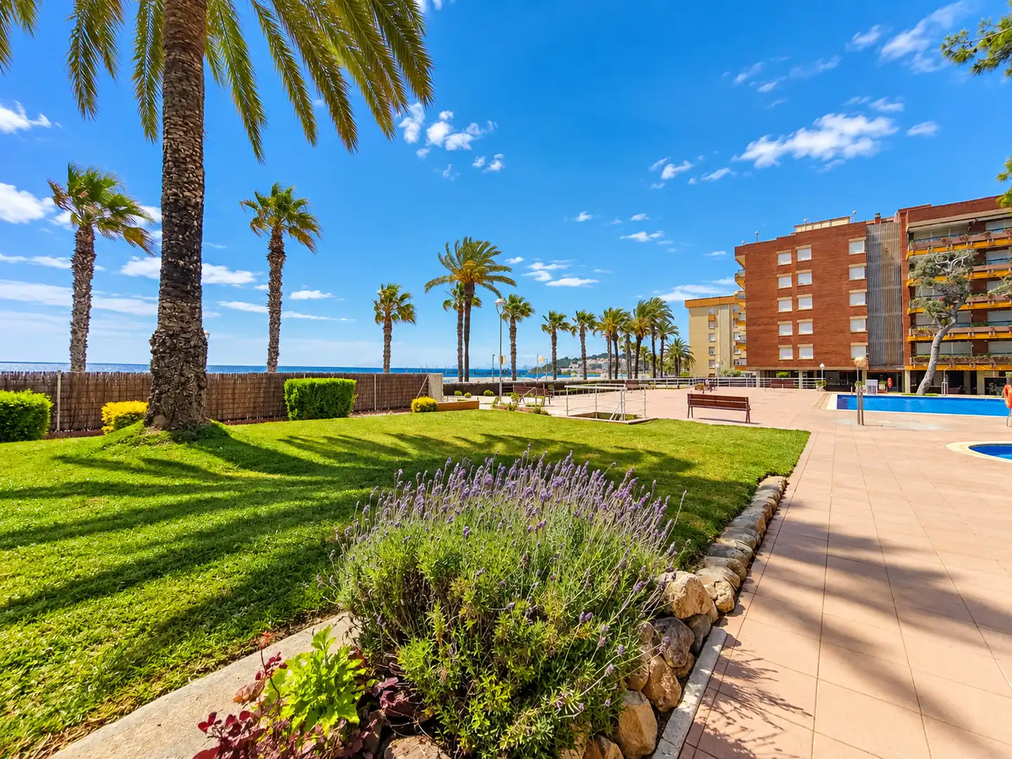 Ático con terraza en venta en Passeig de Rafael Campalans, imagen 26