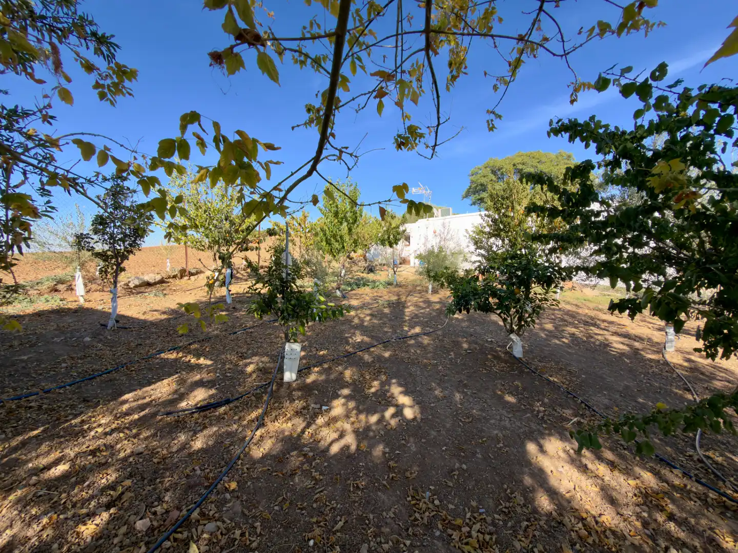 Casa o xalet en venda en Espera, Cádiz