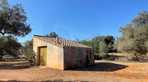 Foto 2 de Finca rústica en venta en Camarles, Tarragona