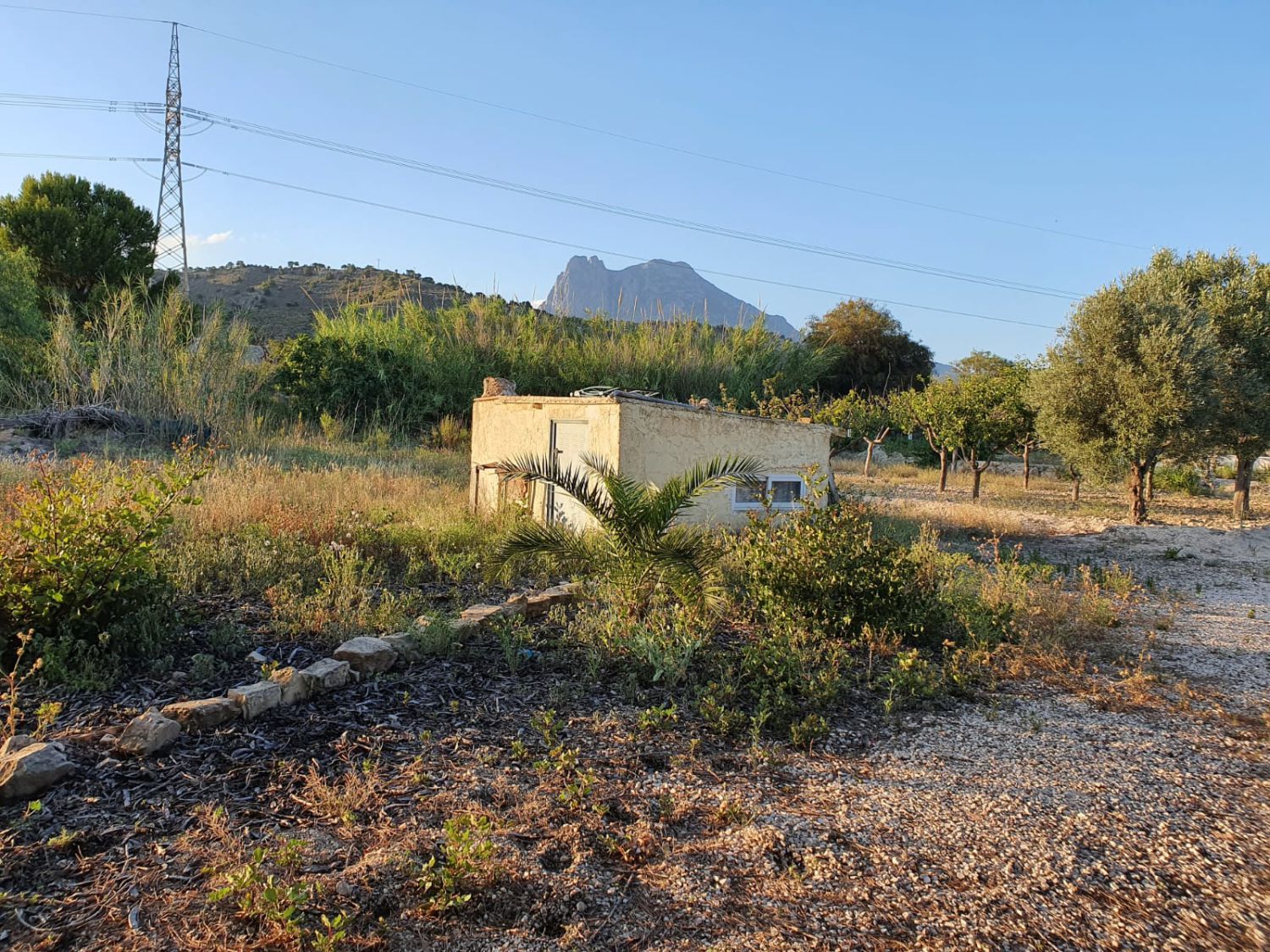 Finca rústica en venda en Villajoyosa / La Vila Joiosa