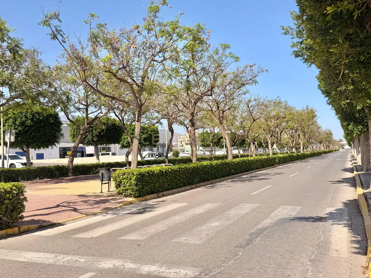Exterior view of Residential for sale in El Ejido