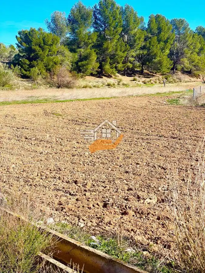 Casa rústica en venda a Vélez-Rubio, imagen 2