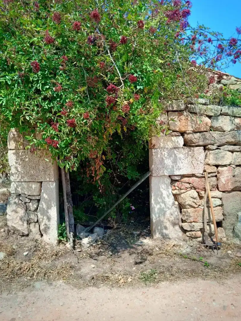 Jardí de Residencial en venda en Pereruela