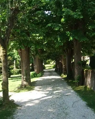 Inmuebles singulares en venta en Lugar la Granja 12, imagen 42