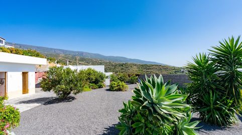 Photo 2 of Country homes for sale in Calle Calvario, 85, Fasnia, Santa Cruz de Tenerife