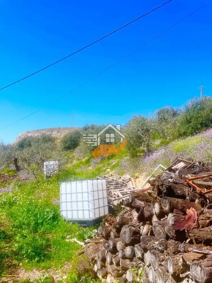 Finca rústica en venda en Vélez-Rubio