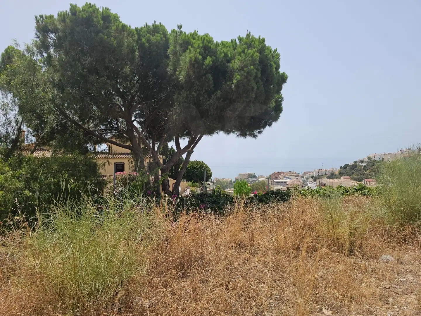 Terrenos y solares en venta en Playa del Rincón, imagen 5
