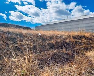 Terreny industrial en venda a Norte - Barrio del Pilar - El Reñidero