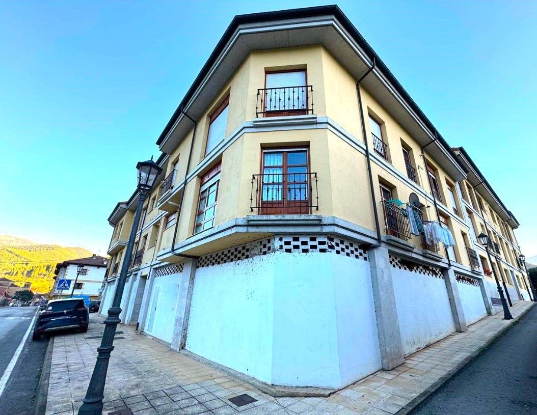 Exterior view of Flat for sale in Potes  with Storage room