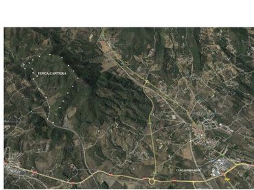 Terreno industrial en venta en Carrer de Riudecols 1