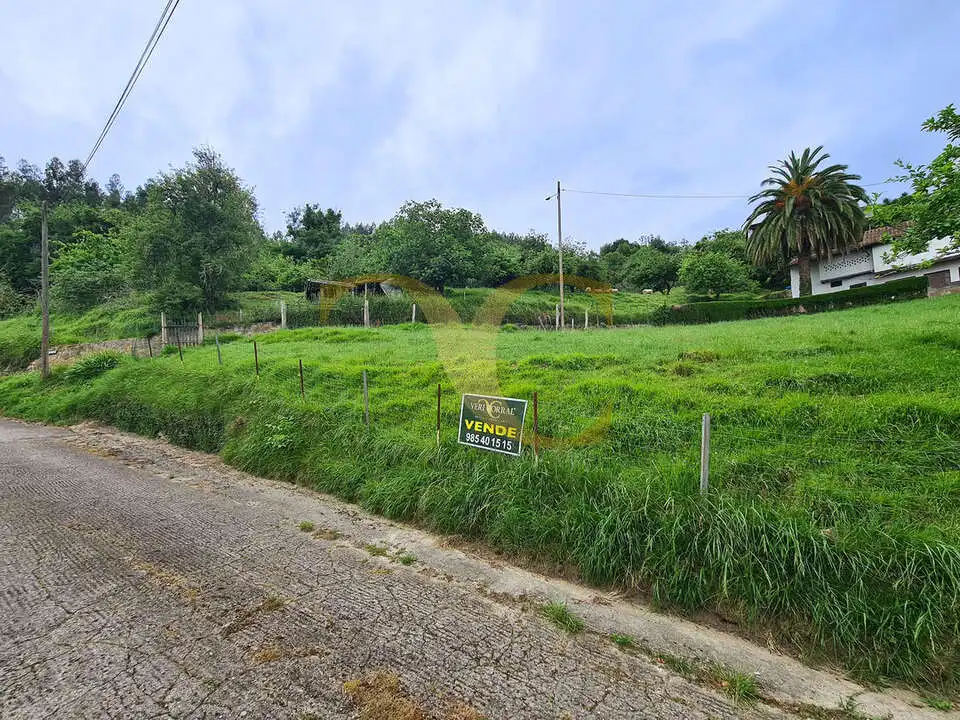 Terreno rustico in vendita a Niao, imagen 18