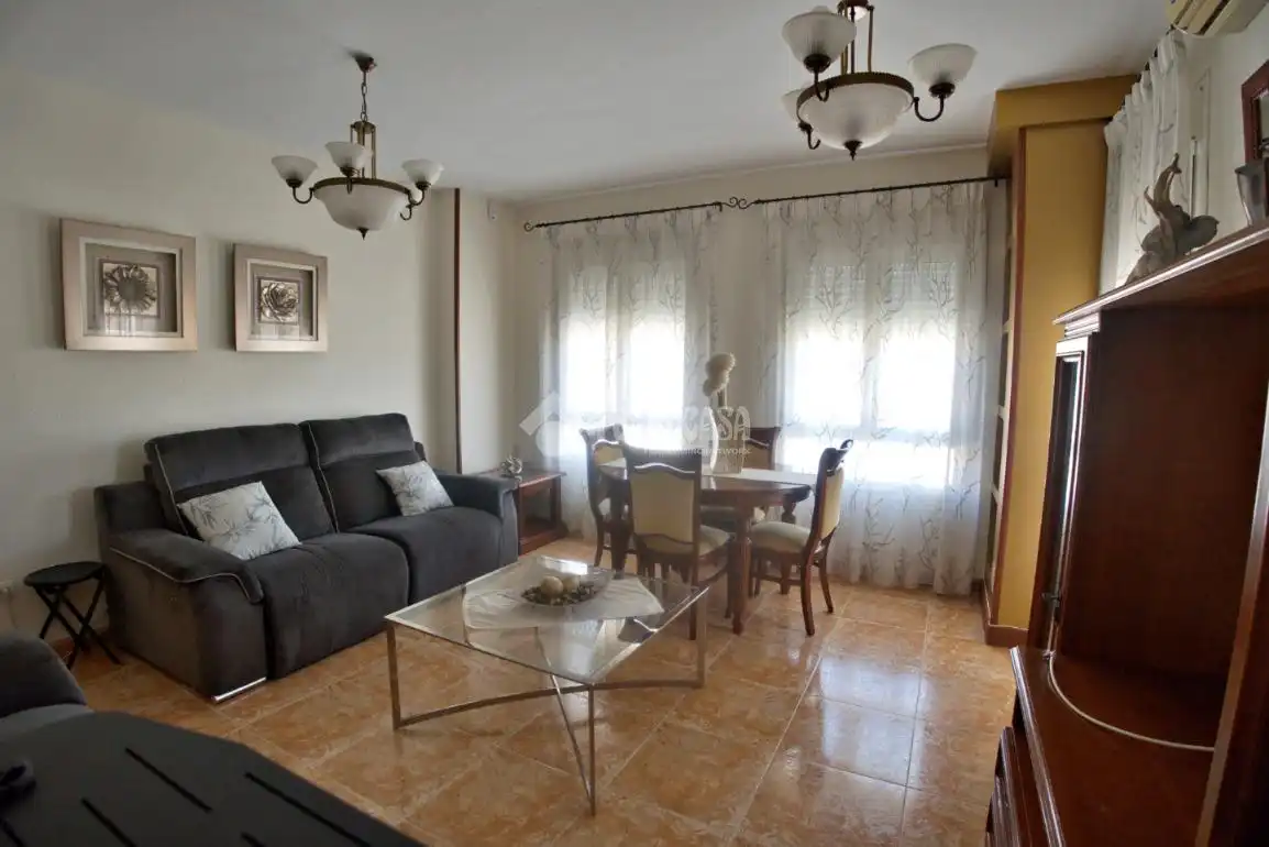 Living room of Detached homes for sale in El Ejido