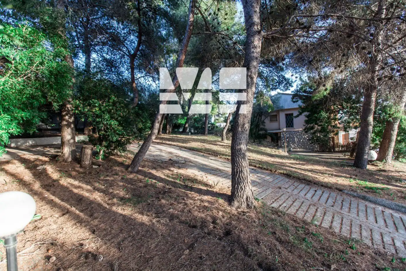 Terreno rústico en venta en Mèxic, imagen 4