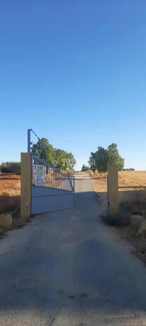 Finca rústica en venta en Aznalcázar
