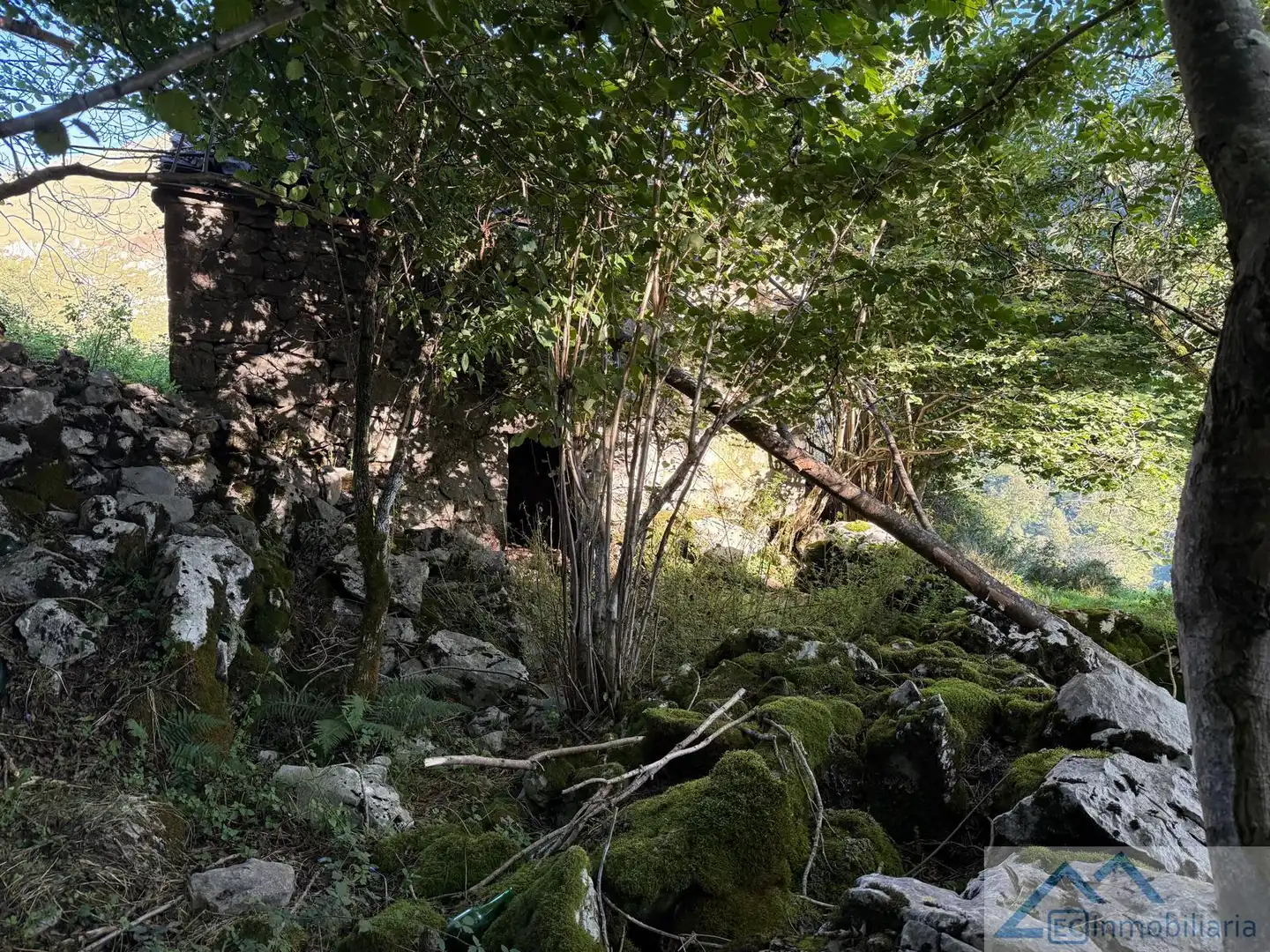 Jardín de Finca rústica en venta en Ruesga