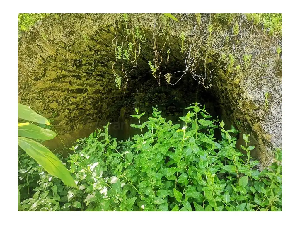 Finca rústica en venda en Jubrique
