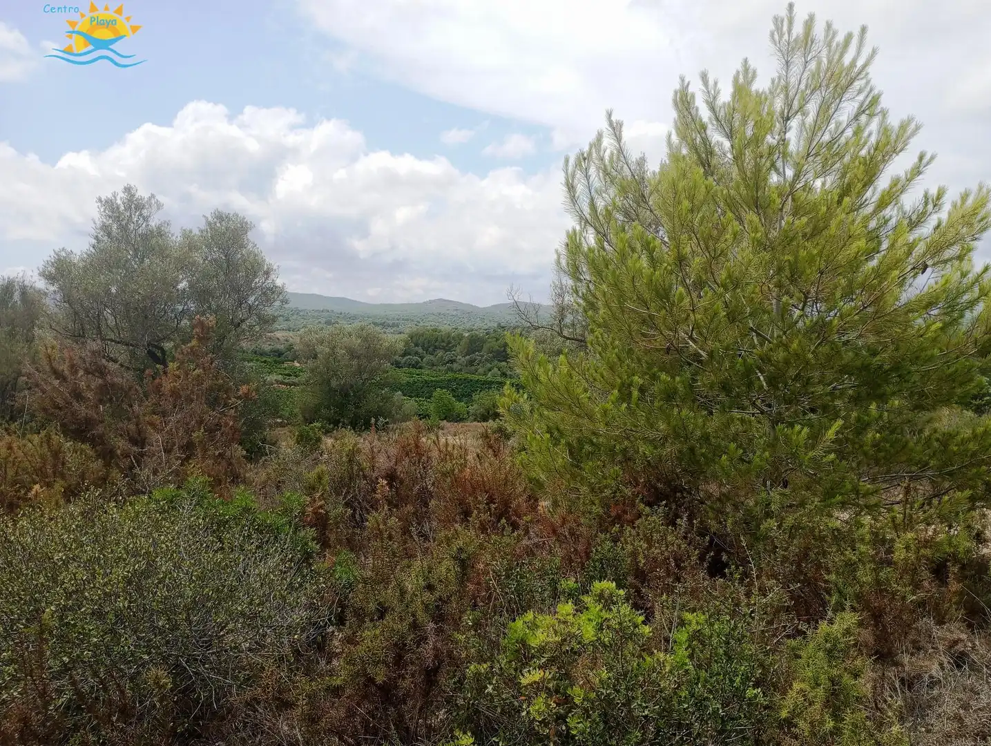 Maison rustique à vendre à CALIG CASTELLON 12589, imagen 12