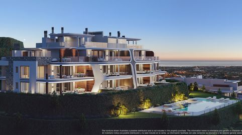 NUEVO PROYECTO EN LA QUINTA, imatge 3