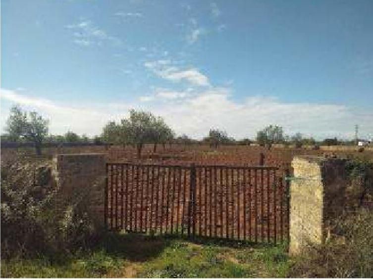 Land for sale in Llucmajor