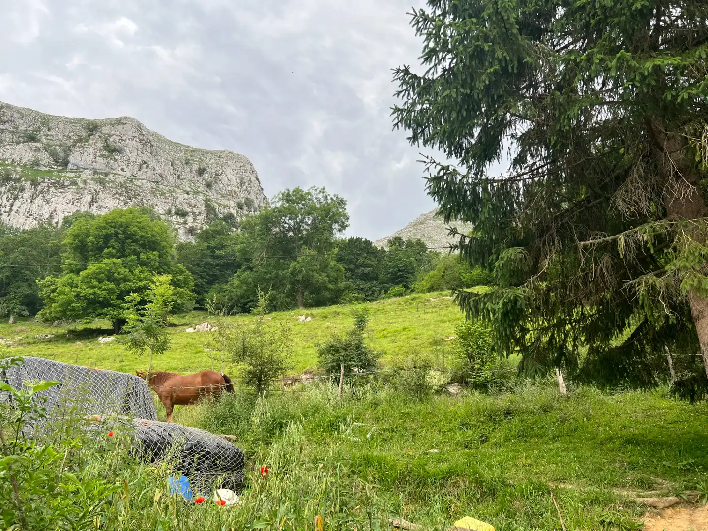 Finca rústica en venta en Liérganes