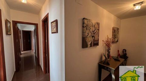 Foto 4 de Pis en venda a Calle Maestro Bernardo Estepa, Andújar, Jaén