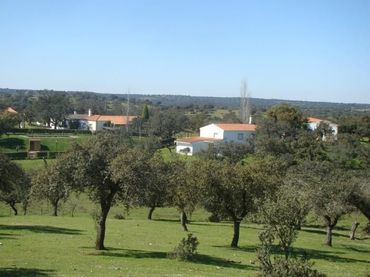 Terreny rústic en venda a Alcántara