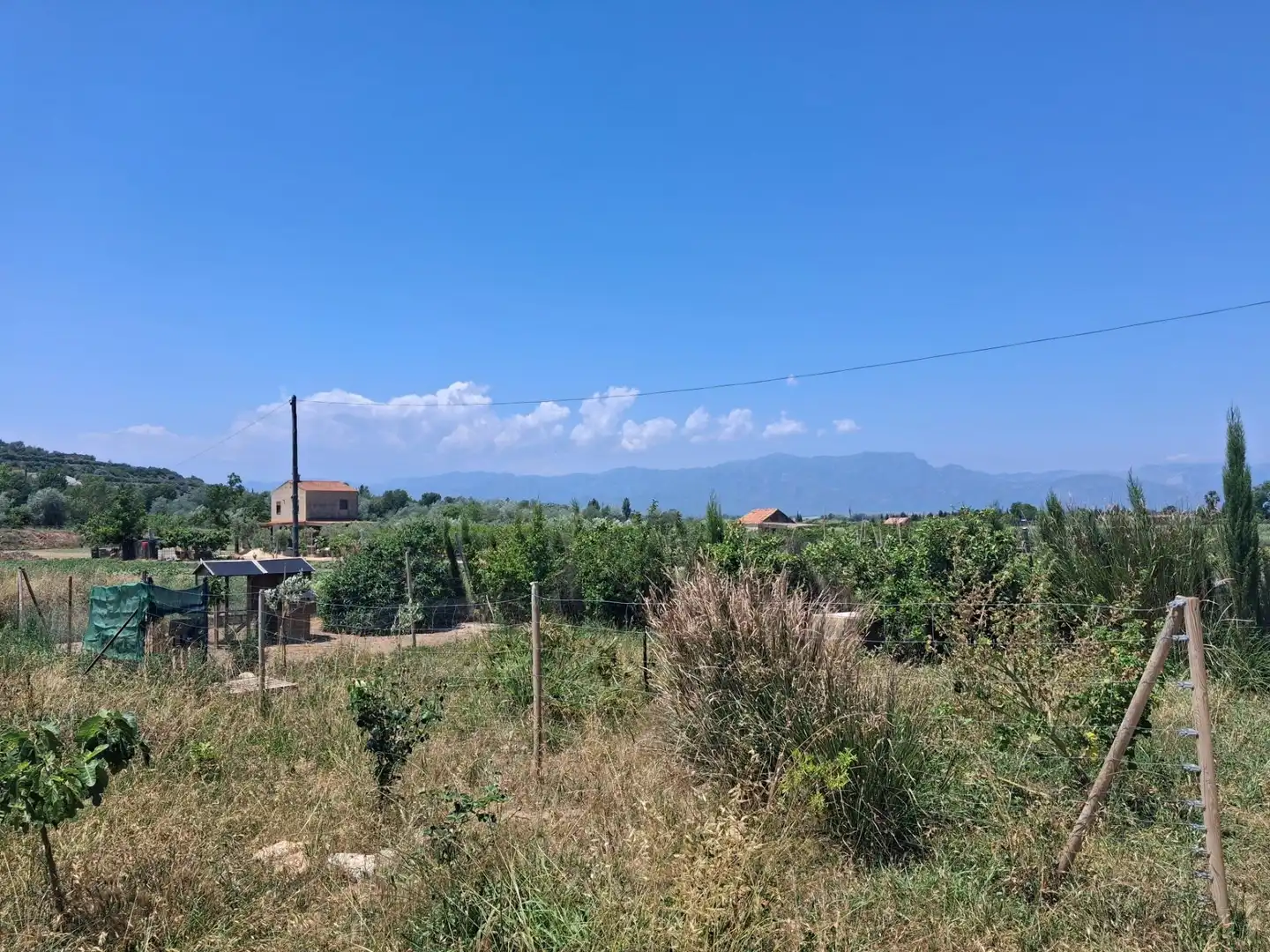Casa o xalet en venda en Amposta