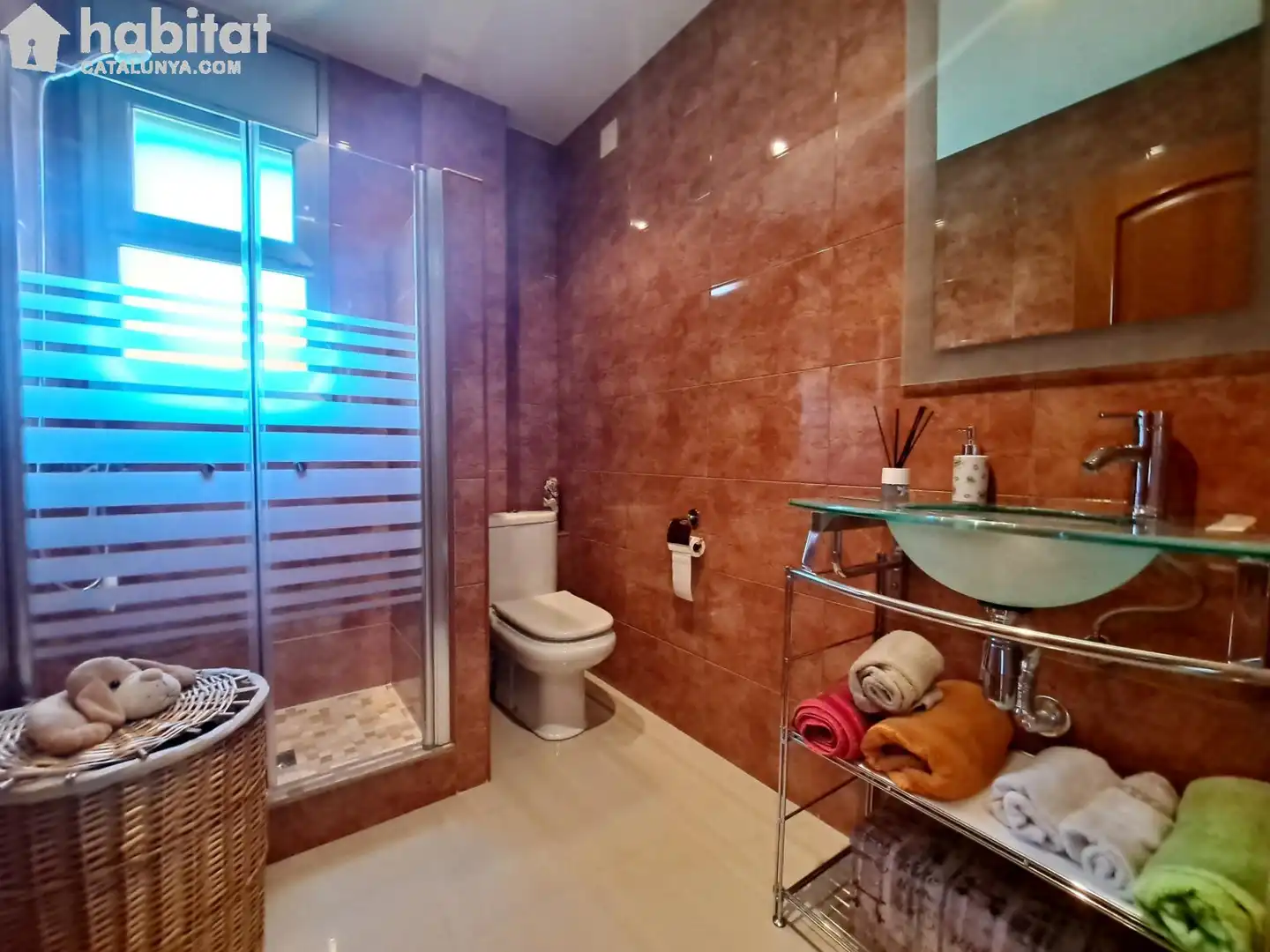 Bany de Casa o xalet en venda en Sant Esteve Sesrovires amb Aire condicionat, Jardí privat i Terrassa