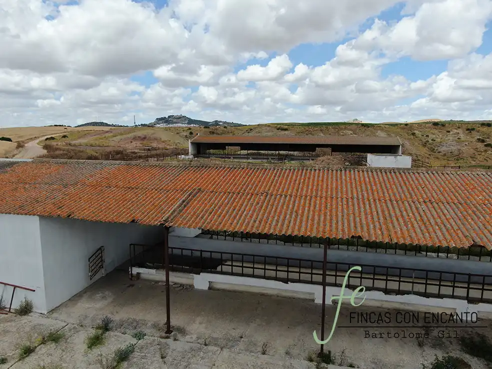 Exterior view of Country homes for sale in Espera