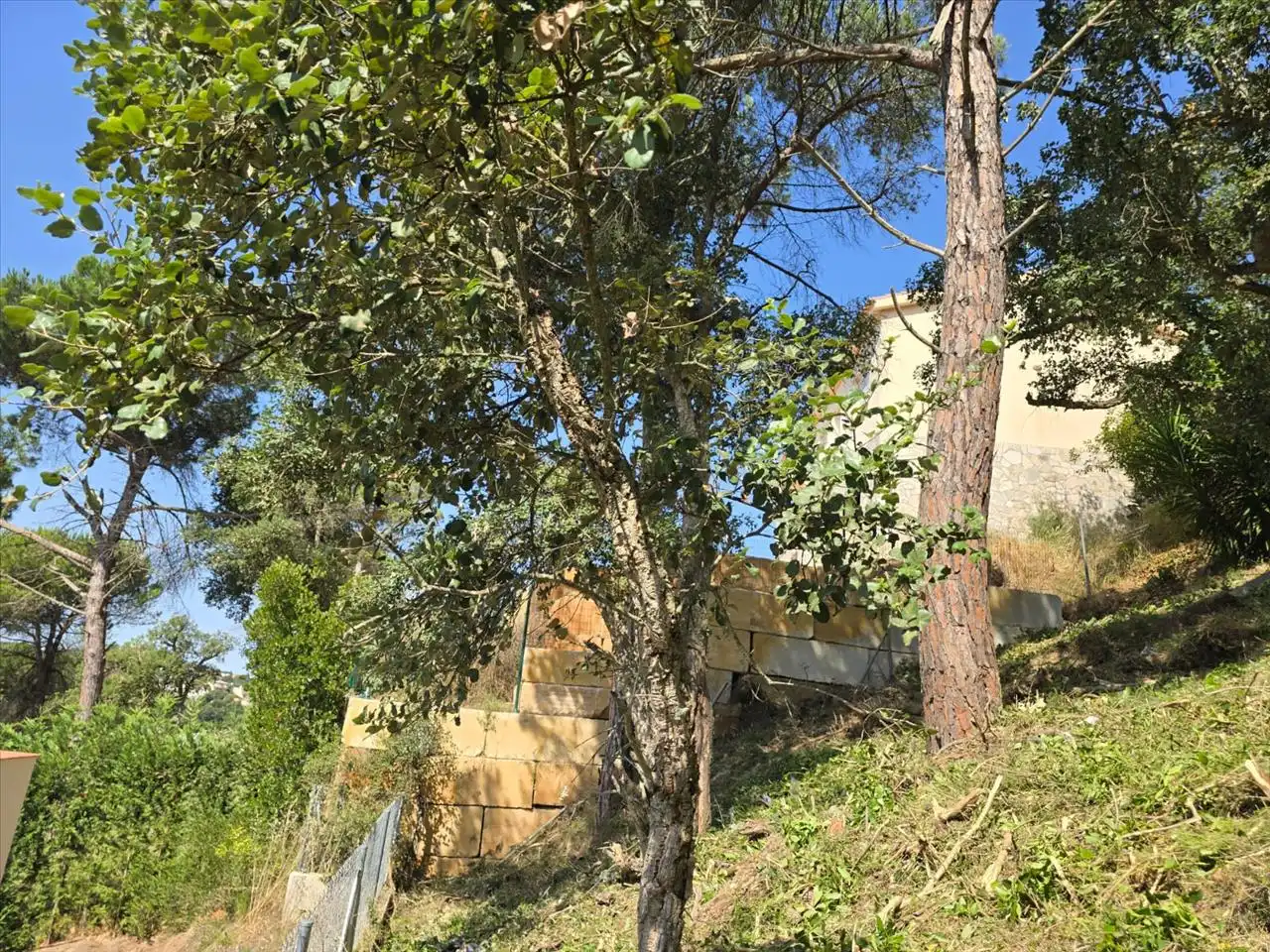 Rustikales Grundstück zum Verkauf in Avinguda de la Senyera, 4, Lloret de Mar, Spain, imagen 12