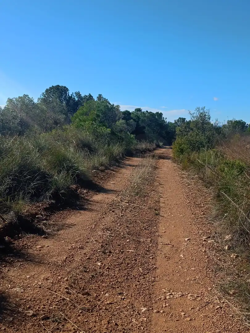Grundstücke zum Verkauf in Lorca