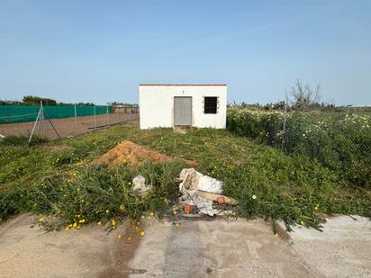 Terreny en venda a N/A, -1, Los Palacios y Villafranca