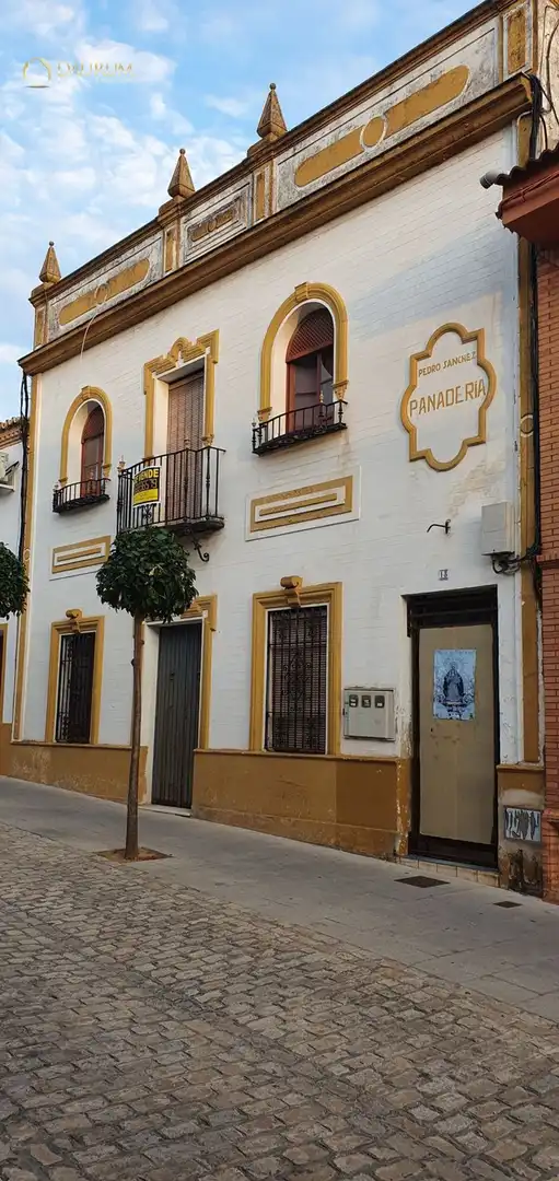 Vista exterior de Casa o chalet en venta en Bormujos con Terraza, Piscina y Piscina comunitaria
