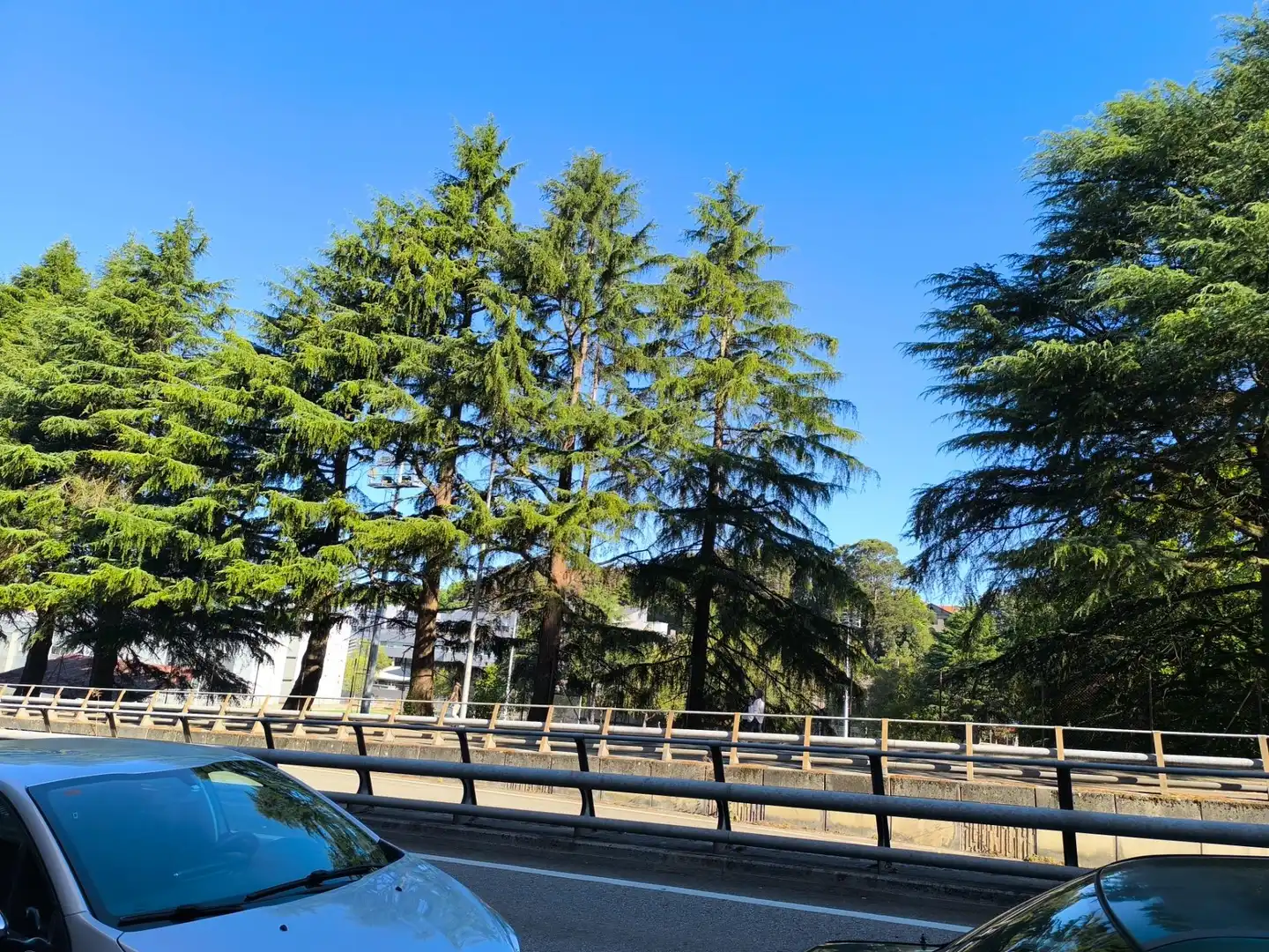 Flat with lift for sale in Avenida MESTRE MATEO, imagen 19