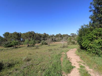 Finca rústica en venda en Algaida