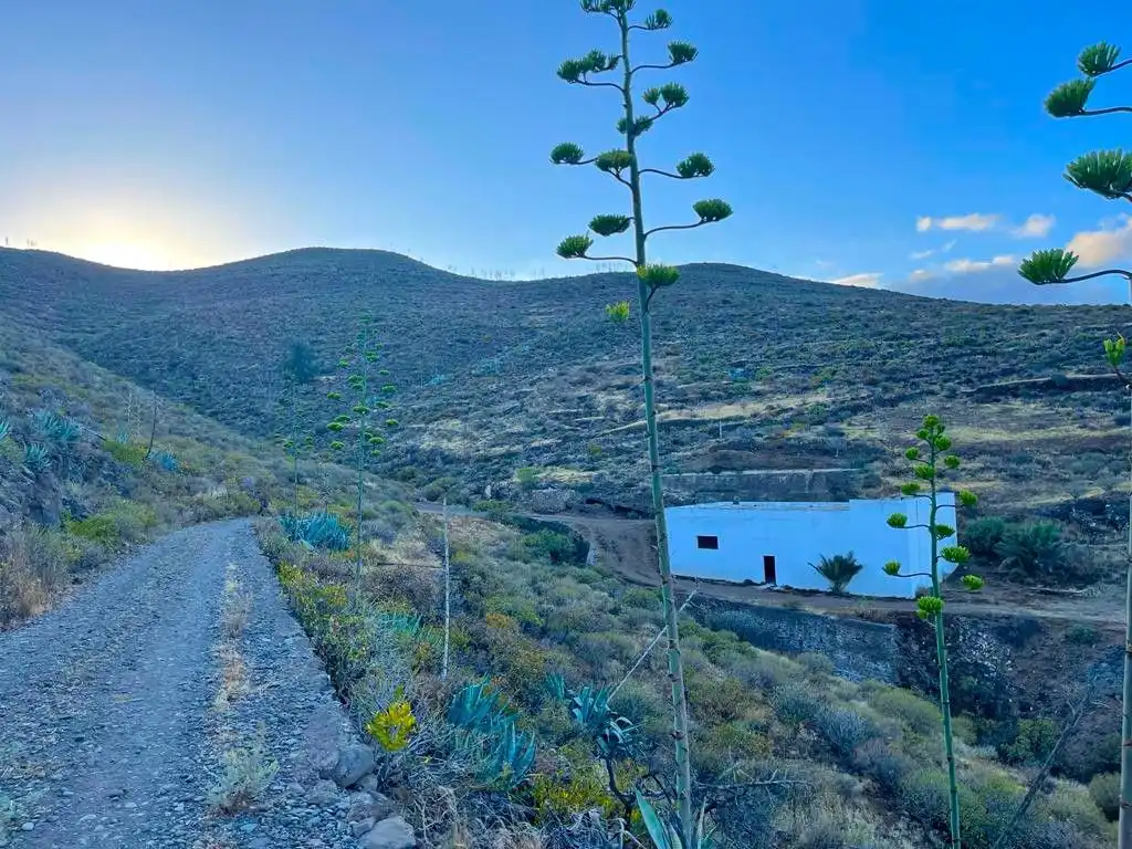 Rural land for sale in Tabuco, imagen 2
