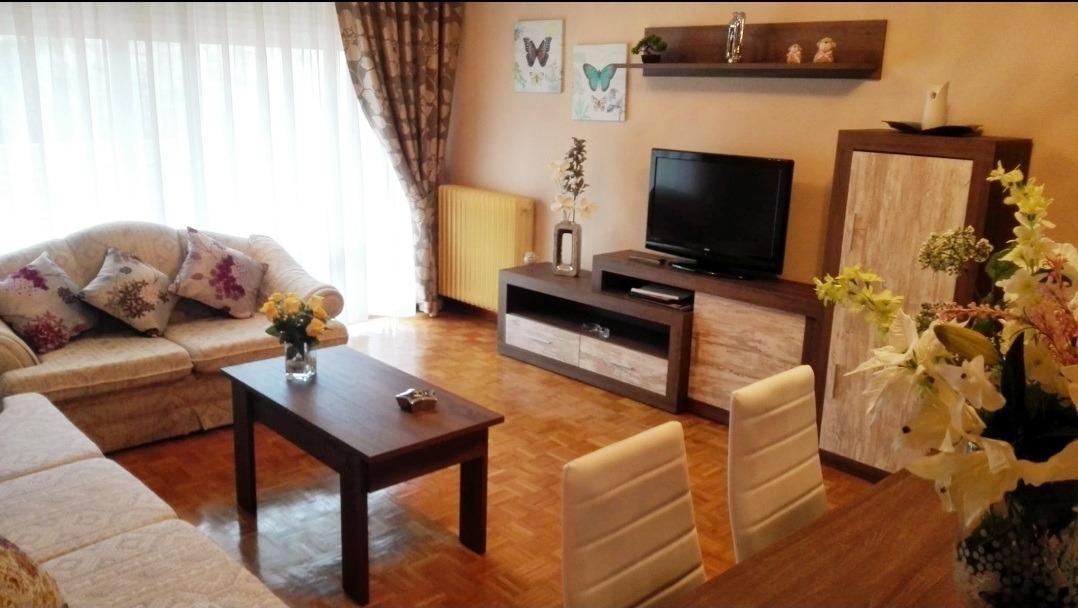 Living room of Flat to rent in Ávila Capital  with Heating, Parquet flooring and Terrace