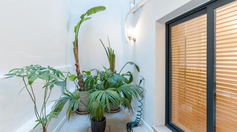 Photo 3 of Flat for sale in Cort,  Palma de Mallorca