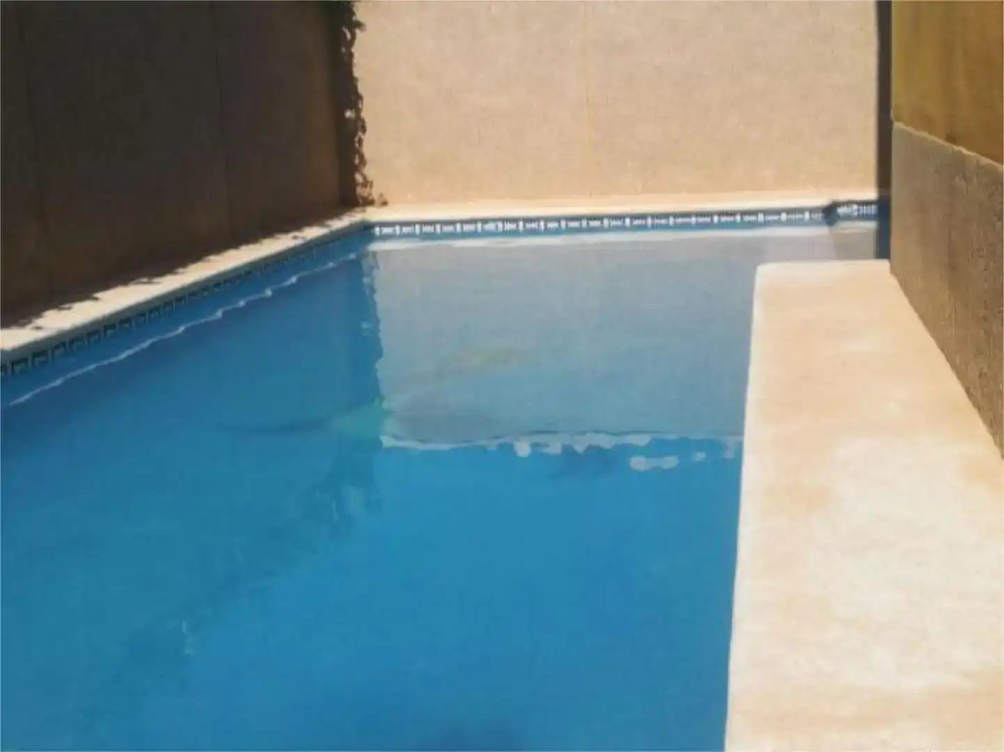 Schwimmbecken von Wohnung zur Miete in Calabardina