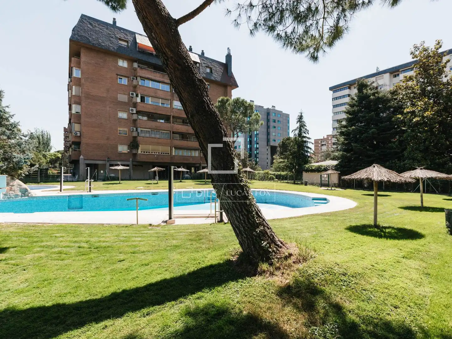 Swimming pool of Flat for rent in Madrid  with Air Conditioner, Heating and Private garden