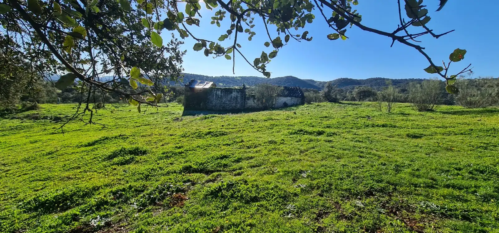 Rural land for sale in Espiel